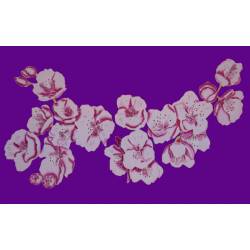 cerisier violet