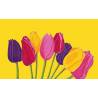 tulipe jaune