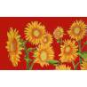Tournesol rouge