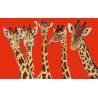 Girafe orange