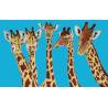 Girafe bleu
